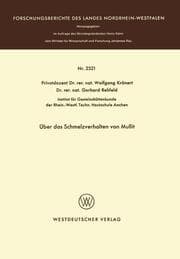 Cover von Über das Schmelzverhalten von Mullit