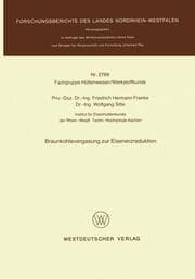 Cover von Braunkohlevergasung zur Eisenerzreduktion