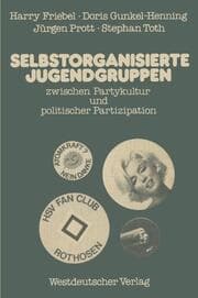 Cover von Selbstorganisierte Jugendgruppen zwischen Partykultur und politischer Partizipation