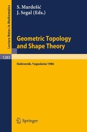 Cover von Geometric Topology and Shape Theory