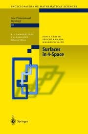Cover von Surfaces in 4-Space