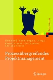 Cover von Prozessübergreifendes Projektmanagement