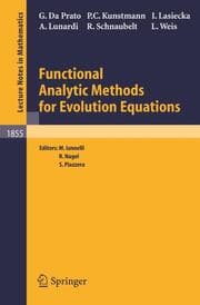 Cover von Functional Analytic Methods for Evolution Equations