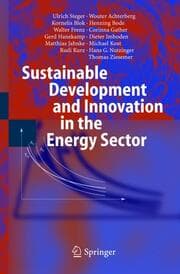 Cover von Sustainable Development and Innovation in the Energy Sector