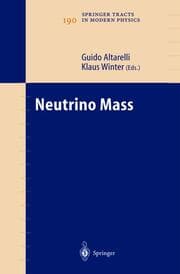 Cover von Neutrino Mass