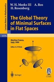 Cover von The Global Theory of Minimal Surfaces in Flat Spaces