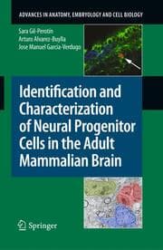 Cover von Identification and Characterization of Neural Progenitor Cells in the Adult Mammalian Brain
