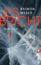 Cover von Eis bricht