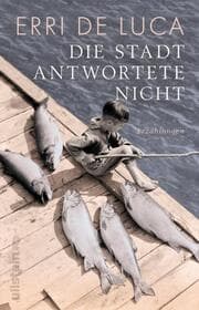 Cover von Die Stadt antwortete nicht