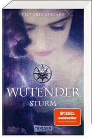 Cover von Wütender Sturm