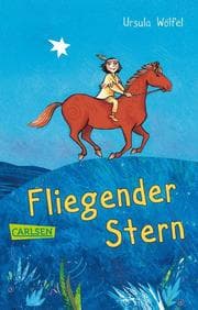 Cover von Fliegender Stern