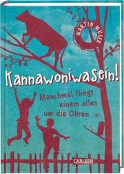 Cover von Manchmal fliegt einem alles um die Ohren