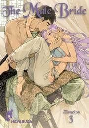 Cover von The Male Bride 3
