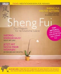 Cover von Sheng Fui