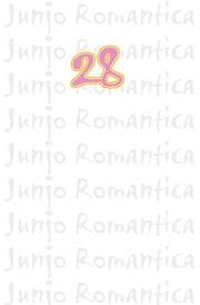 Cover von Junjo Romantica 28