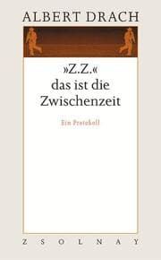 Cover von 'Z.Z.' das ist die Zwischenzeit
