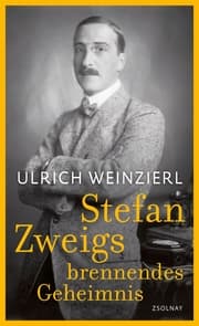 Cover von Stefan Zweigs brennendes Geheimnis