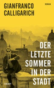 Cover von Der letzte Sommer in der Stadt