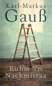 Cover von Ruhm am Nachmittag
