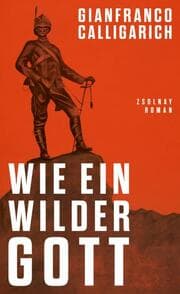 Cover von Wie ein wilder Gott