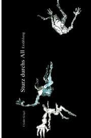 Cover von Sturz durchs All