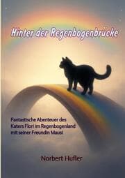 Cover von Hinter der Regenbogenbrücke