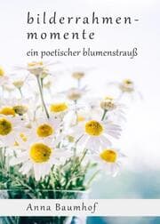 Cover von bilderrahmenmomente