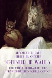 Cover von Geister in Wales
