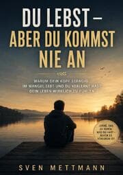 Cover von Du Lebst - Aber Du kommst nie an