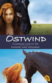 Cover von Ostwind