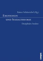 Cover von Emotionen und Sozialtheorie