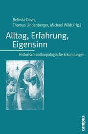 Cover von Alltag, Erfahrung, Eigensinn