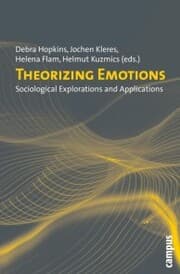 Cover von Theorizing Emotions