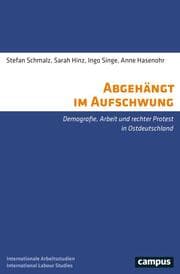 Cover von Abgehängt im Aufschwung