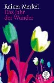 Cover von Das Jahr der Wunder