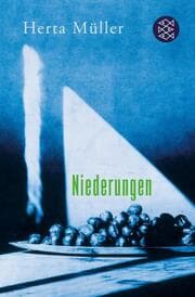 Cover von Niederungen