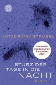 Cover von Sturz der Tage in die Nacht