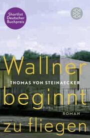 Cover von Wallner beginnt zu fliegen