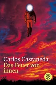 Cover von Das Feuer von innen