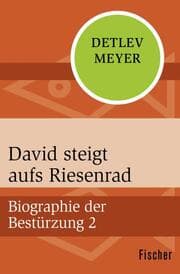 Cover von David steigt aufs Riesenrad