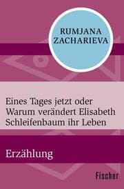 Cover von Eines Tages jetzt oder Warum verändert Elisabeth Schleifenbaum ihr Leben