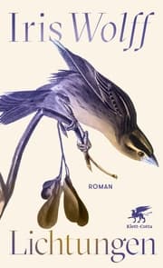 Cover von Lichtungen