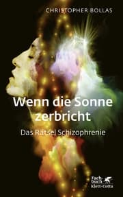 Cover von Wenn die Sonne zerbricht