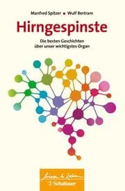 Cover von Hirngespinste
