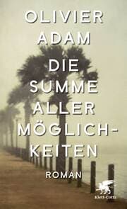 Cover von Die Summe aller Möglichkeiten