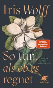 Cover von So tun, als ob es regnet