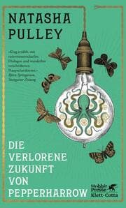 Cover von Die verlorene Zukunft von Pepperharrow