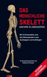 Cover von Das menschliche Skelett