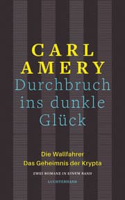 Cover von Durchbruch ins dunkle Glück