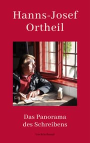 Cover von Das Panorama des Schreibens